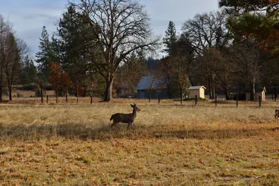 DSC_5850 (Large).JPG